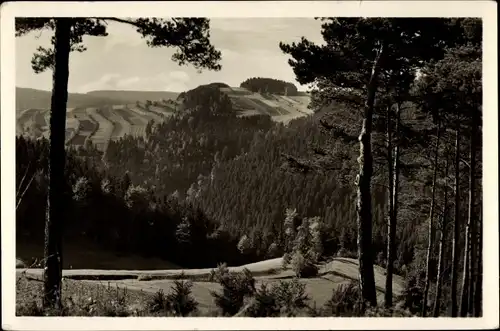 Ak Wurzbach in Thüringen, Waldblick nach Sormitzgrund