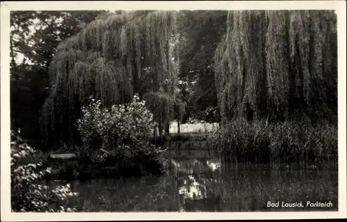 Ak Bad Lausick in Sachsen, Parkteich