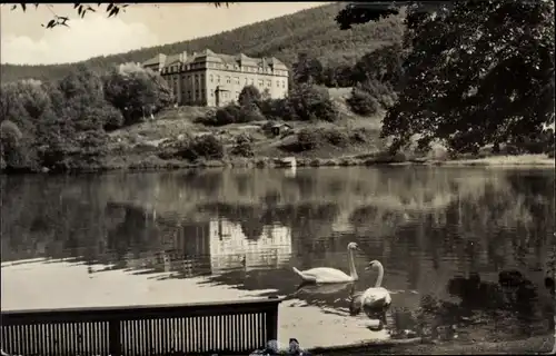 Ak Ilmenau in Thüringen, Ritzebühler Teich, Goetheschule, Schwäne