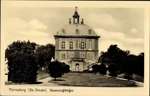 Ak Moritzburg in Sachsen, Fasanenschlösschen