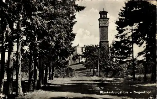 Ak Blankenburg am Harz, Ziegenkopf