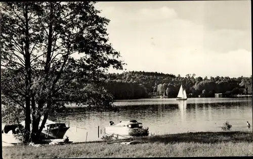 Ak Werbellin Schorfheide Barnim, Werbellinsee, Segelboot