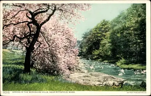 Ak Massachusetts USA, Berkshire Hills, Frühling in der Nähe von Pittsfield