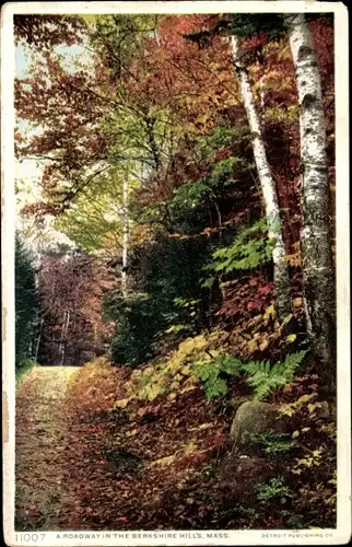 Ak Massachusetts USA, Berkshire Hills, Eine Fahrbahn im Herbst