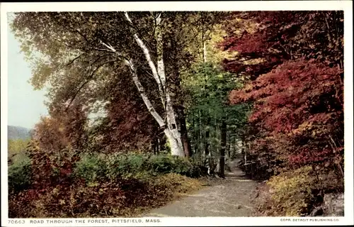 Ak Pittsfield Massachusetts USA, Straße durch den Wald