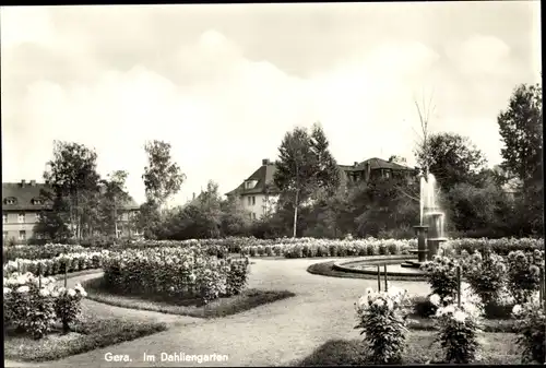 Ak Gera in Thüringen, Im Dahliengarten, Springbrunnen