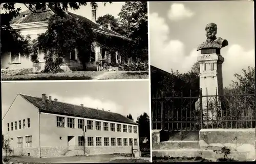 Ak Csokonyavisonta Ungarn, Denkmal, Büste, Wohnhaus