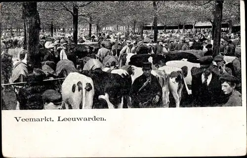 Ak Leeuwarden Friesland, Viehmarkt, Kühe