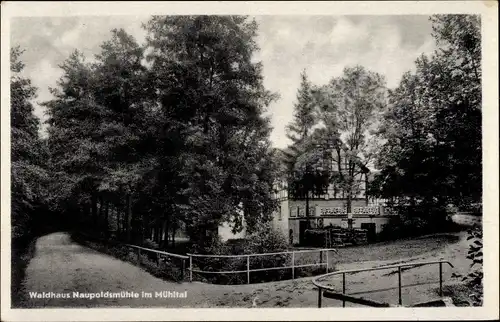 Ak Eisenberg in Thüringen, Mühltal, Naupoldsmühle