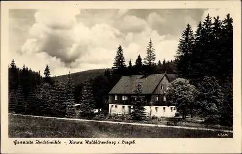 Ak Waldbärenburg Bärenburg Altenberg im Erzgebirge, Gaststätte Riedelmühle