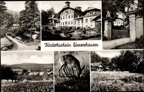 Ak Sinnershausen Hümpfershausen in Thüringen, Kinderkurheim, Panorama, Reh