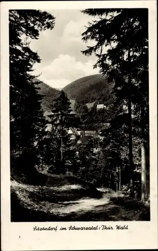 Ak Sitzendorf in Thüringen, Schwarzatal, Wald, Panorama