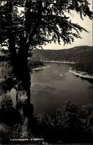 Ak Saalburg in Thüringen, Silberknie, Stausee der Bleiloch-Saaletalsperre