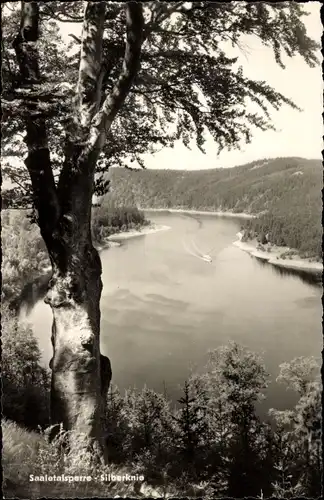 Ak Saalburg in Thüringen, Silberknie, Stausee der Bleiloch-Saaletalsperre