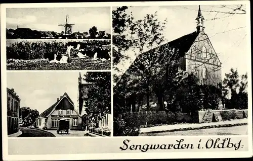 Ak Sengwarden Wilhelmshaven in Niedersachsen, Kirche, Windmühle, Ortspartie, Rinder