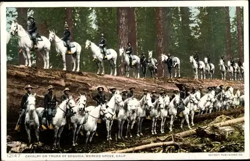 Ak Yosemite-Nationalpark, Kalifornien, USA, Merced Grove, Kavallerie auf dem Stamm des Sequoia