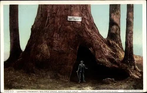 Ak Santa Cruz Kalifornien USA, Big Tree Grove, General Fremont