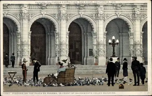 Ak San Diego Kalifornien USA, Panama California Exposition, Tauben auf der Plaza de Panama