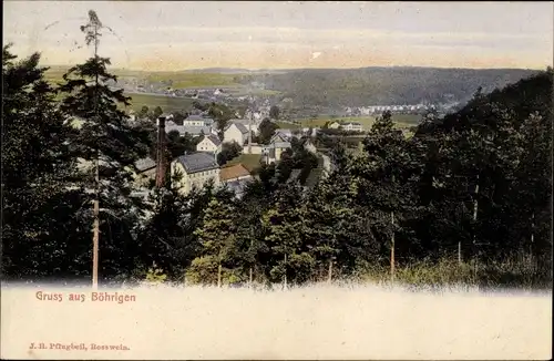 Ak Böhrigen Striegistal Sachsen, Panorama