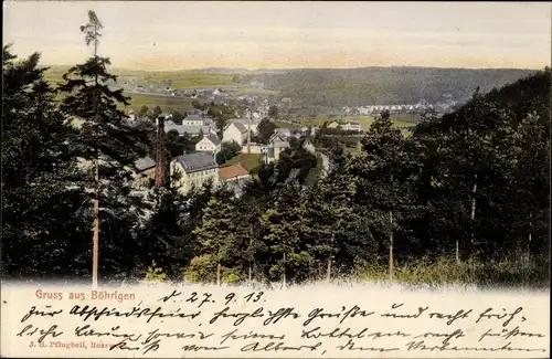 Ak Böhrigen Striegistal Sachsen, Panorama