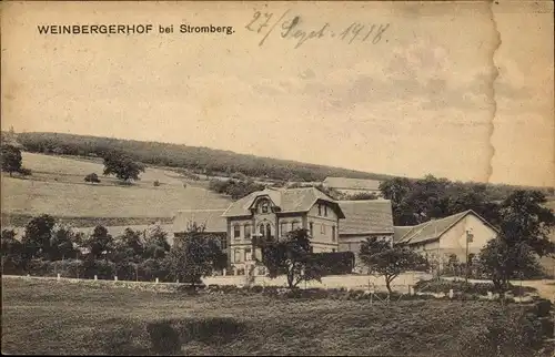 Ak Dörrebach im Hunsrück, Weinbergerhof, Weinberger Hof bei Stromberg