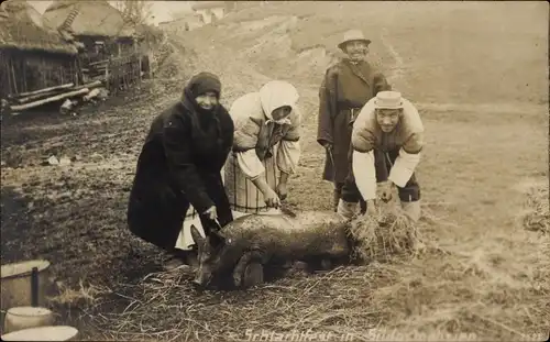 Foto Ak Schlachtfest in Südostgalizien, Dorfbewohner, Schwein