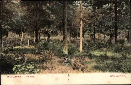 Ak Waulsort Hastière Wallonien Namur, Unterholz, Wald