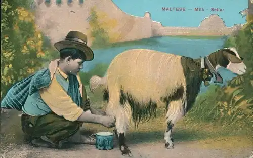 Ak Malta, Mann melkt eine Ziege, Milchverkäufer