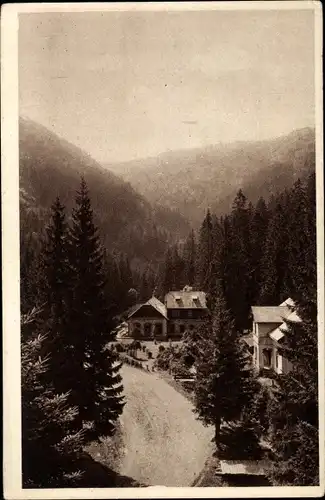 Ak Slowakei, Blick auf die Villen, Wald