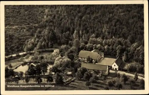 Ak Eisenberg in Thüringen, Waldhaus Naupoldsmühle im Mühltal