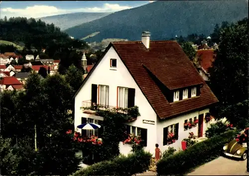 Ak Bad Herrenalb im Schwarzwald, Haus Albtalblick