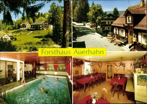 Ak Hinterlangenbach Baiersbronn im Schwarzwald, Forsthaus Auerhahn, Gästehaus Katrin, Pool