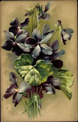 Künstler Ak Klein, Catharina, Veilchenstrauß, Veilchengewächse