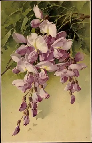 Künstler Litho Klein, Catharina, Lila Blüten, Stillleben