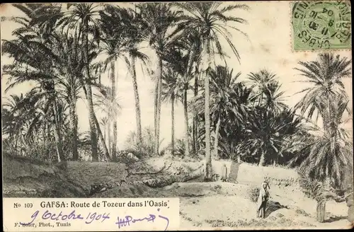 Ak Gafsa Tunesien, Route de Tozeur dans l'Oasis