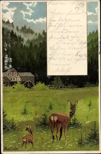 Künstler Litho Mailick, Reh, Jungtier, Wohnhaus, Wiese