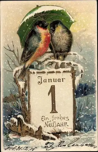 Präge Glitzer Ak Glückwunsch Neujahr, Vögel unter einem Schirm, Kalender
