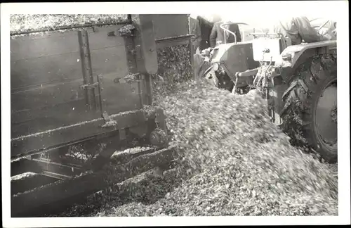 Foto Ak Ernte, Traktor, Landwirtschaft, Nutzfahrzeug