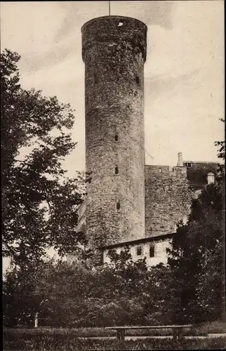 Ak Tallinn Reval Estland, Langer Hermann