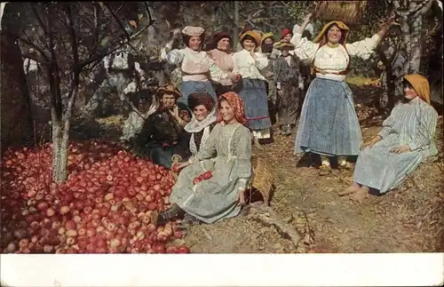 Ak Griechische Frauen in Volkstracht bei der Apfelernte