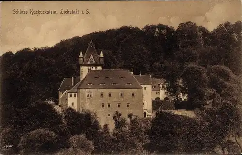 Ak Liebstadt Erzgebirge Sachsen, Schloss Kuckuckstein
