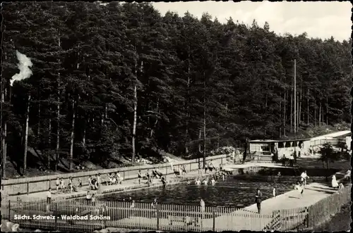 Ak Schöna Sächsische Schweiz, Waldbad