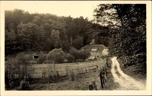 Ak Ruppiner Schweiz Neuruppin, Boltenmühle