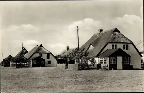 Ak Neuendorf auf der Insel Hiddensee, Fischerhäuser