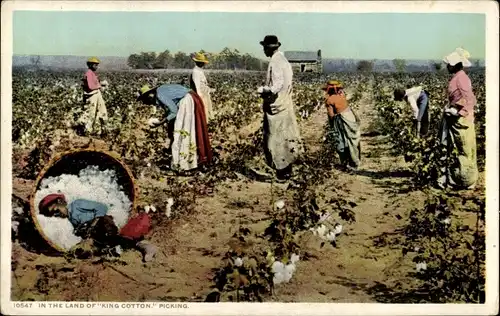 Ak USA, im Land des King Cotton Picking