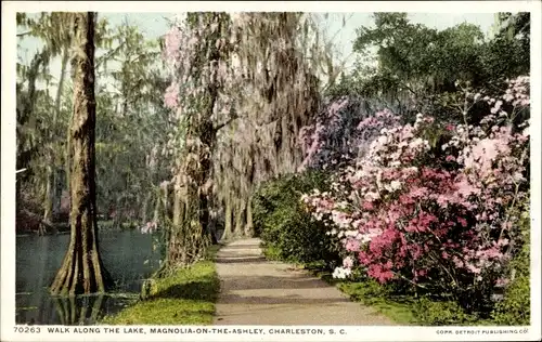 PC Charleston South Carolina United States, Magnolia on the Ashley, Walk along the Lake