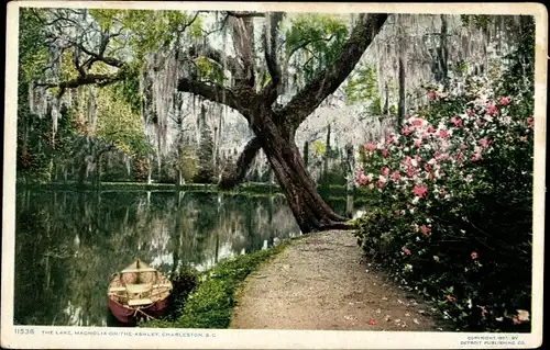 Ak Charleston South Carolina Vereinigte Staaten, Magnolia on the Ashley, Lake