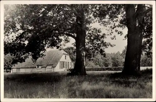 Ak Hoge Veluwe Gelderland Niederlande, Nationale Park, Huis de Pampel