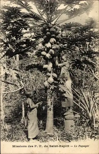 Ak Afrikanische Mission, Papaya-Baum, afrikanische Kinder