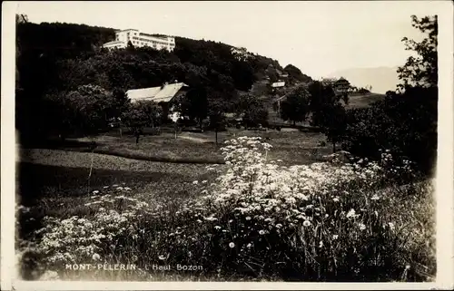 Ak Kanton Waadt, Mont Pelerin, Haut Bozon